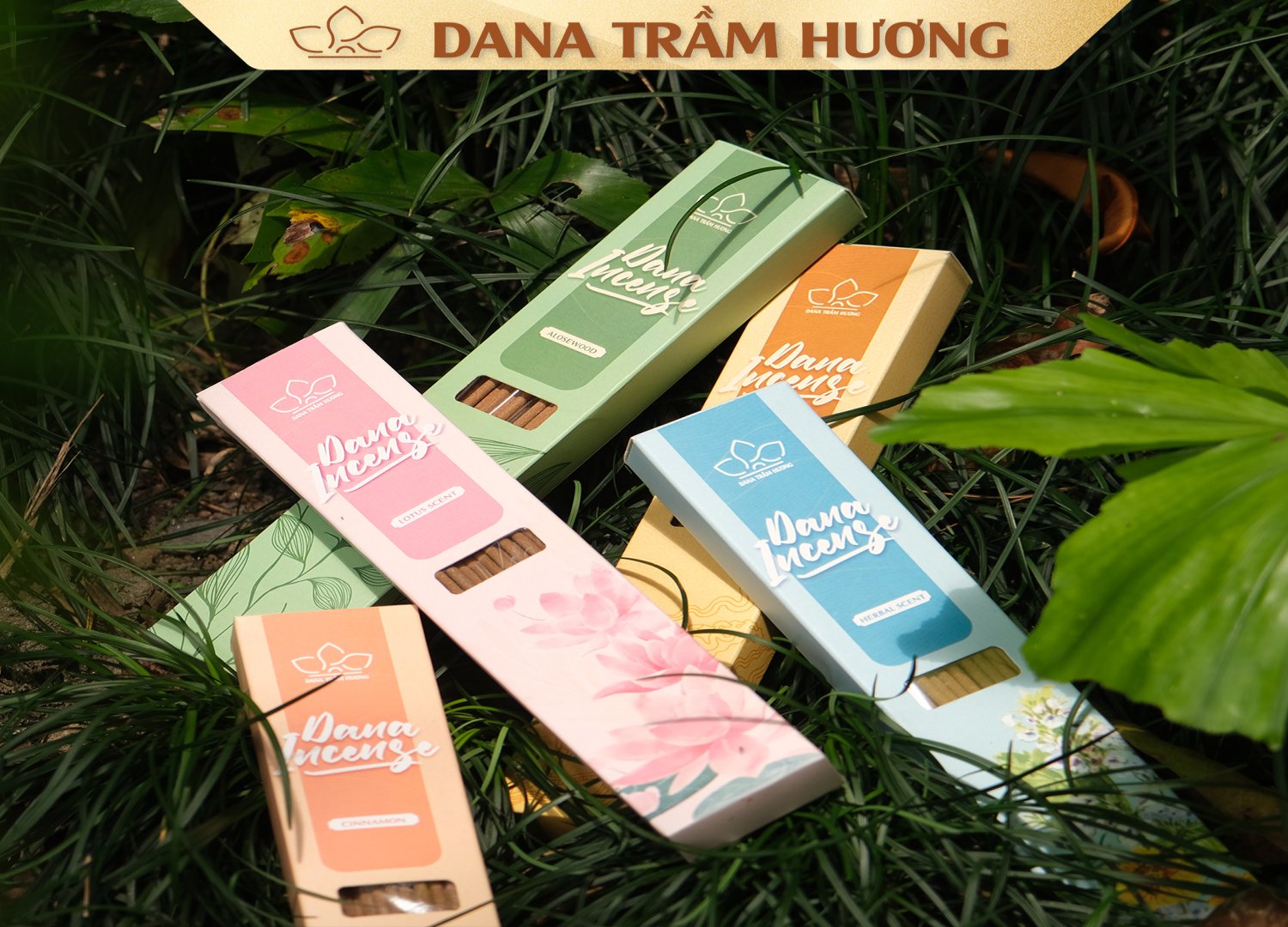 Hộp Trầm Vân Mây DANA Cao Cấp