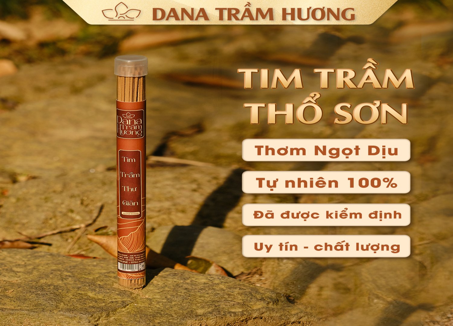 Tim Trầm Thổ Sơn DANA, 20g