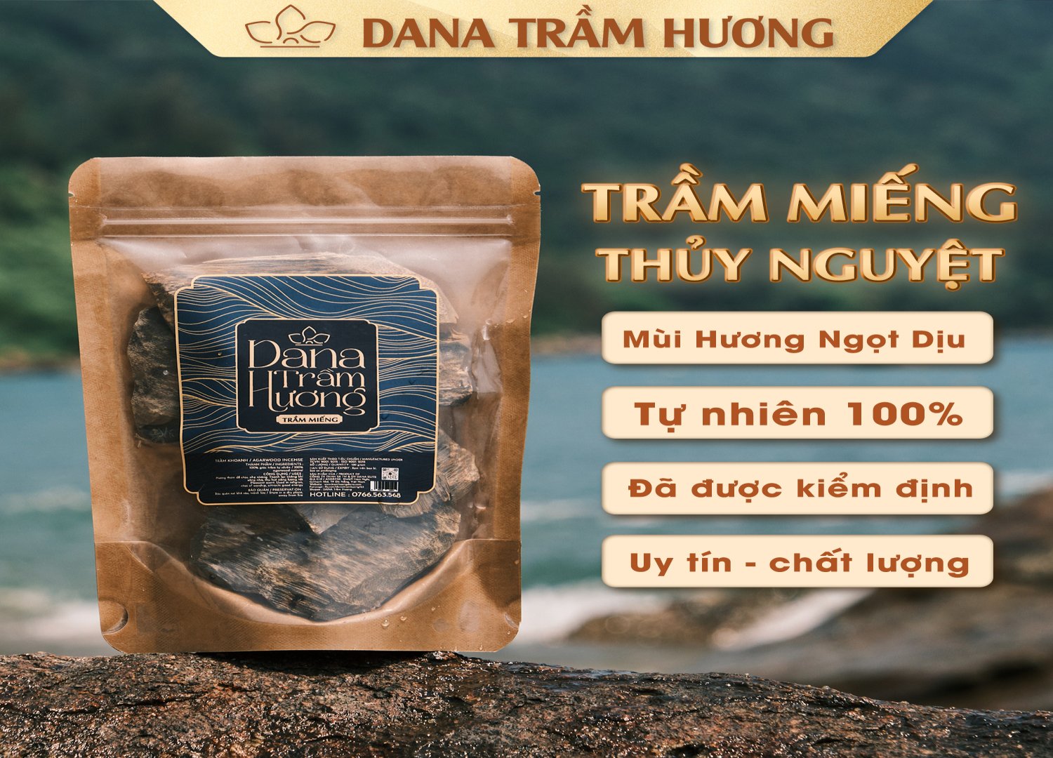 Trầm Miếng Thuỷ Nguyệt DANA-50gr